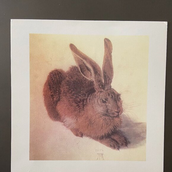 Albrecht Durer, Rabbit Art, Rabbit Print - Picture 3 of 4